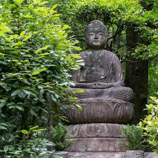 Statue de Bouddha entourée de verdure