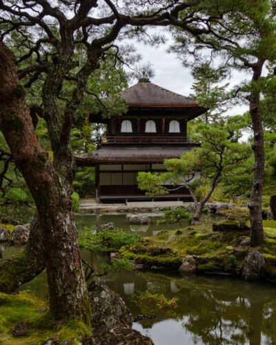 L’esthétique des temples zen au Japon repose sur une harmonie subtile entre architecture et nature. La végétation, l’eau et les lignes du paysage composent un ensemble où se rencontrent équilibre et sérénité. Un environnement où chaque élément trouve sa place et invite naturellement à prendre le temps de contempler. #Kyoto #TempleZen #TemplesJaponais #CultureJaponaise #KyotoJapan #JapaneseCulture #Elopement #JapanElopement #ElopementJapon #ElopementWedding #MariageAuJapon #MariageJaponais