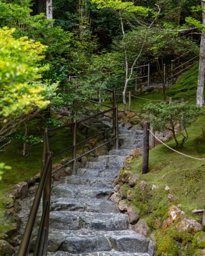 Les jardins des temples japonais ne sont pas seulement conçus pour être admirés. Ils invitent à ralentir, à observer et à apprécier l'équilibre entre la pierre, les végétaux et le temps qui passe. La mousse, omniprésente dans de nombreux temples de Kyoto, participe à cette atmosphère paisible et intemporelle. Une harmonie discrète, qui fait toute la singularité de ces lieux. #jardinjaponais #templejaponais #kyoto #culturejaponaise #japonauthentique